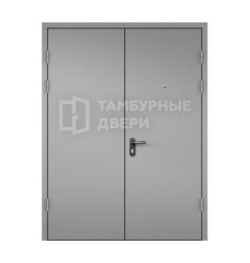 Дверь тамбурная ТД-285